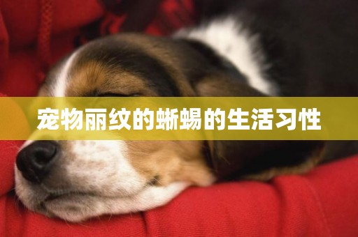 寵物麗紋的蜥蜴的生活習性