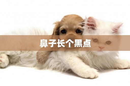 鼻子長個黑點