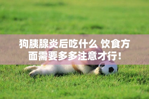 狗胰腺炎后吃什么 飲食方面需要多多注意才行！