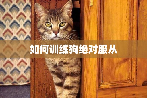 如何訓練狗絕對服從