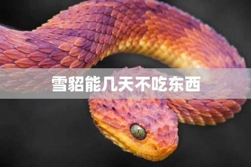 雪貂能幾天不吃東西