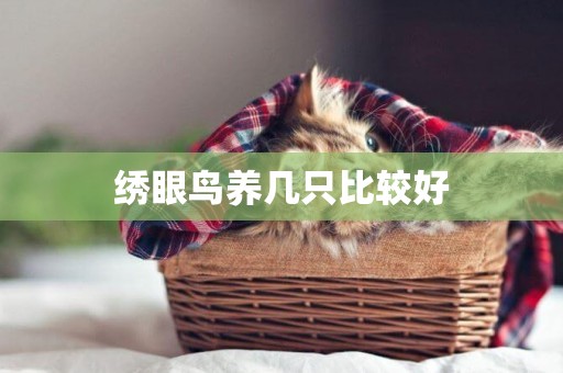 繡眼鳥養幾只比較好