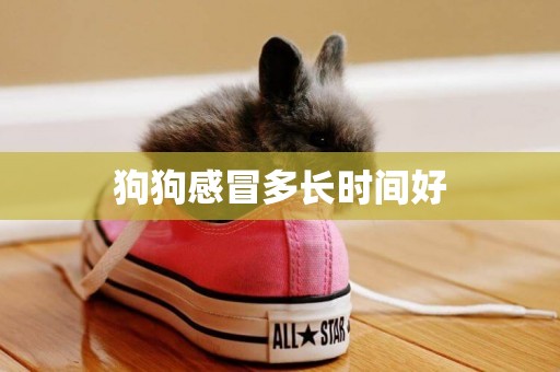 狗狗感冒多長時間好