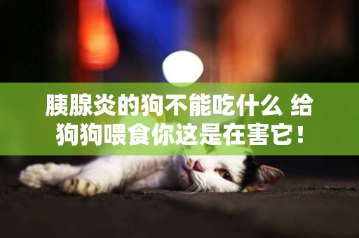 胰腺炎的狗不能吃什么 給狗狗喂食你這是在害它！