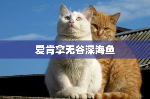 愛肯拿無谷深海魚
