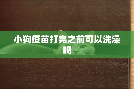 小狗疫苗打完之前可以洗澡嗎