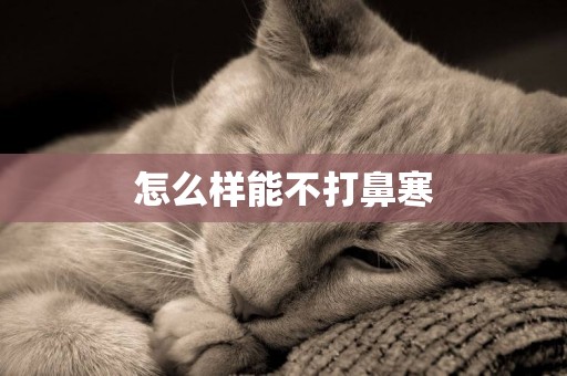 怎么樣能不打鼻寒