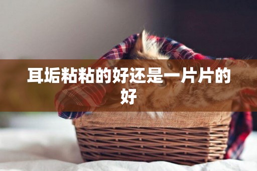 耳垢粘粘的好還是一片片的好