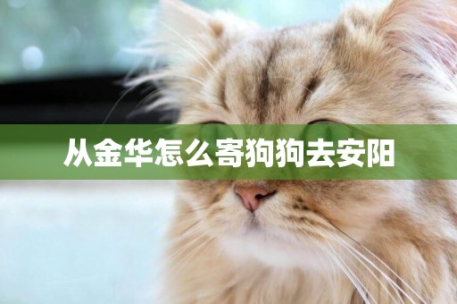 從金華怎么寄狗狗去安陽