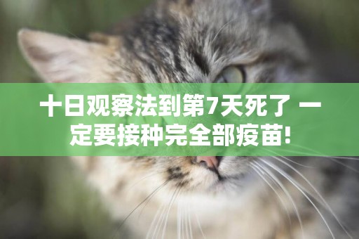 十日觀察法到第7天死了 一定要接種完全部疫苗!