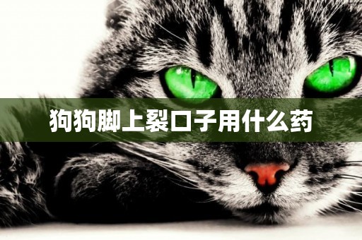 狗狗腳上裂口子用什么藥