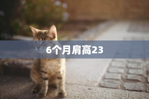 6個月肩高23