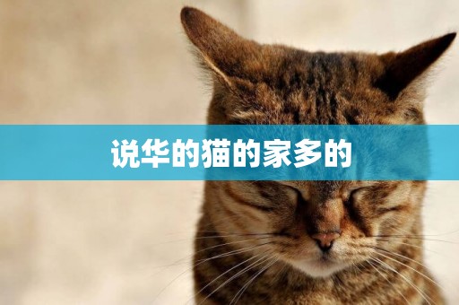 說華的貓的家多的