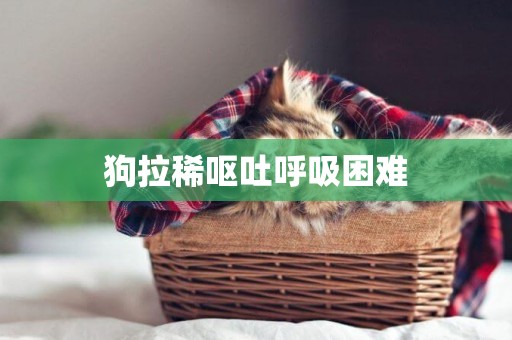 狗拉稀嘔吐呼吸困難