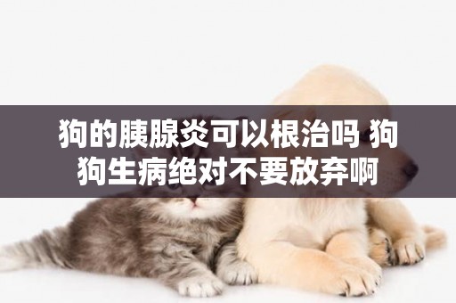 狗的胰腺炎可以根治嗎 狗狗生病絕對不要放棄啊