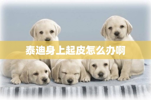 泰迪身上起皮怎么辦啊