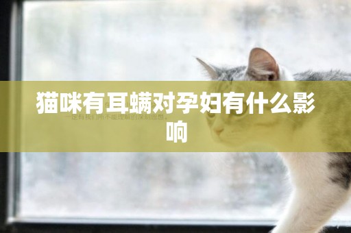貓咪有耳螨對孕婦有什么影響