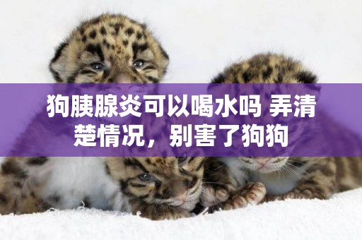 狗胰腺炎可以喝水嗎 弄清楚情況，別害了狗狗