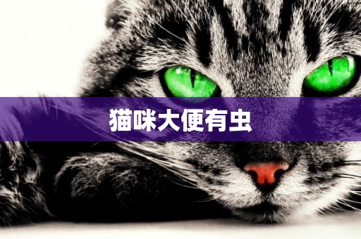 貓咪大便有蟲