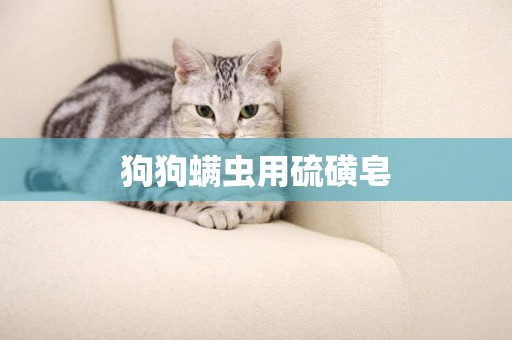 狗狗螨蟲用硫磺皂