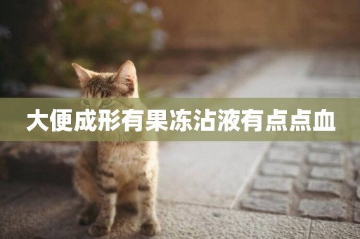 大便成形有果凍沾液有點點血