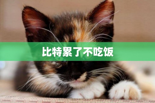 比特累了不吃飯
