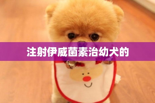 注射伊威菌素治幼犬的