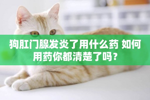 狗肛門腺發炎了用什么藥 如何用藥你都清楚了嗎? 狗肛門腺發炎了用什么藥 如何用藥你都清楚了嗎?
