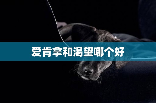 愛肯拿和渴望哪個好