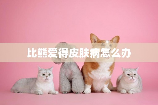 比熊愛得皮膚病怎么辦
