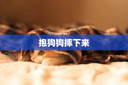 抱狗狗摔下來