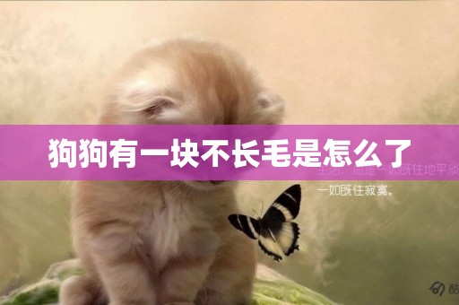 狗狗有一塊不長毛是怎么了