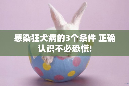 感染狂犬病的3個條件 正確認識不必恐慌! 感染狂犬病的3個條件 正確認識不必恐慌!