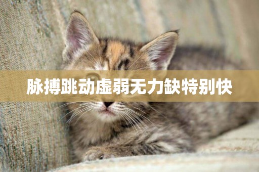 脈搏跳動虛弱無力缺特別快