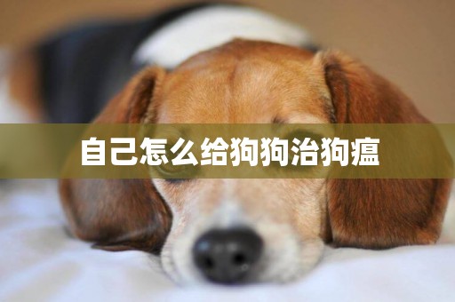 自己怎么給狗狗治狗瘟