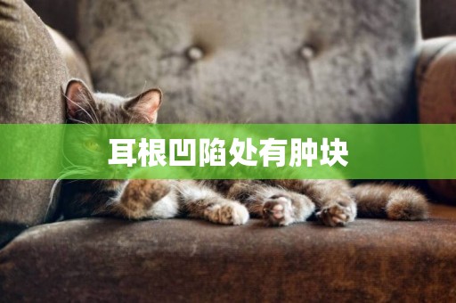 耳根凹陷處有腫塊