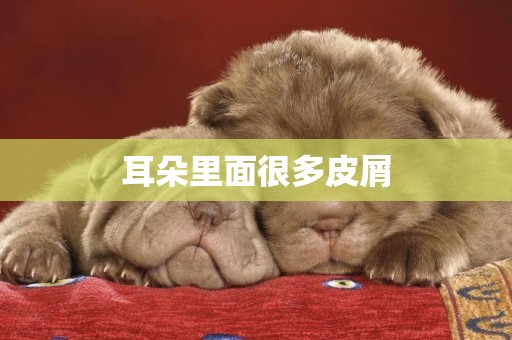 耳朵里面很多皮屑