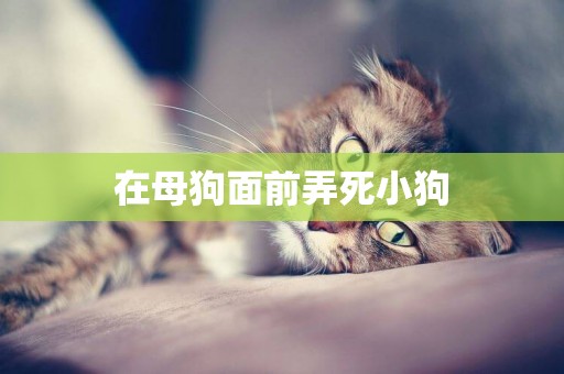 在母狗面前弄死小狗
