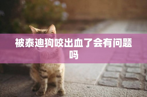 被泰迪狗咬出血了會有問題嗎