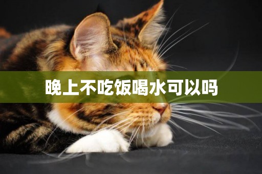 晚上不吃飯喝水可以嗎