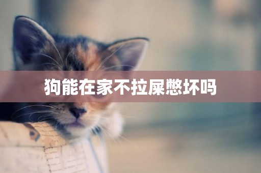 狗能在家不拉屎憋壞嗎