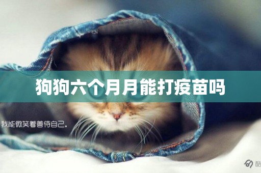 狗狗六個月月能打疫苗嗎