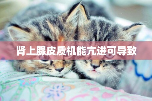 腎上腺皮質機能亢進可導致