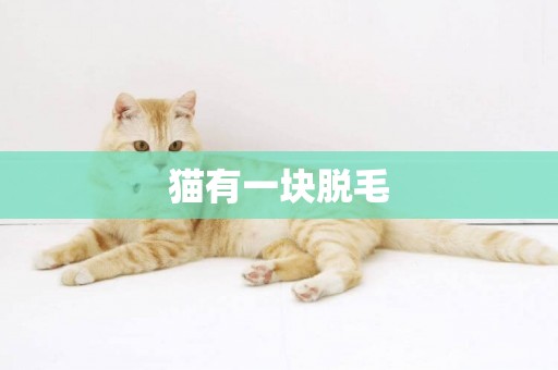 貓有一塊脫毛