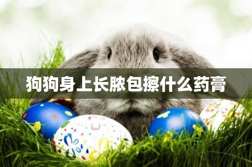 狗狗身上長膿包擦什么藥膏
