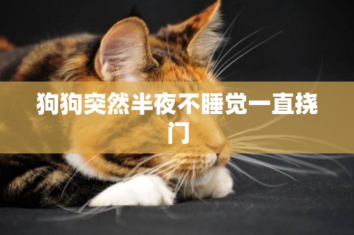 狗狗突然半夜不睡覺一直撓門
