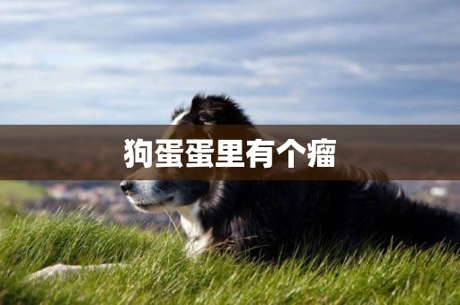 狗蛋蛋里有個瘤