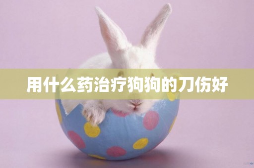 用什么藥治療狗狗的刀傷好