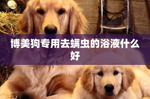 博美狗專用去螨蟲的浴液什么好