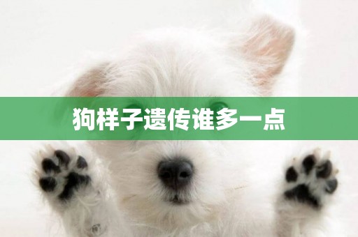 狗樣子遺傳誰多一點